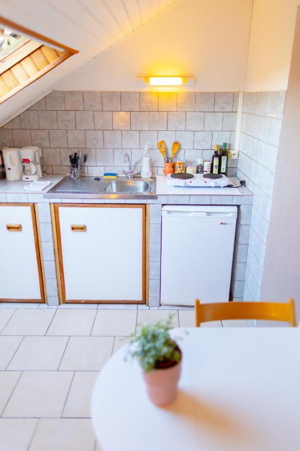 Studio cocon sous les toits de Jaurès Belfort Extérieur photo